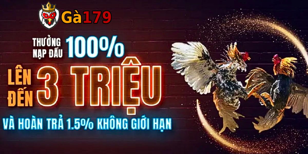 Ga179 Com – Lựa Chọn Hấp Dẫn Cho Game Thủ Đá Gà